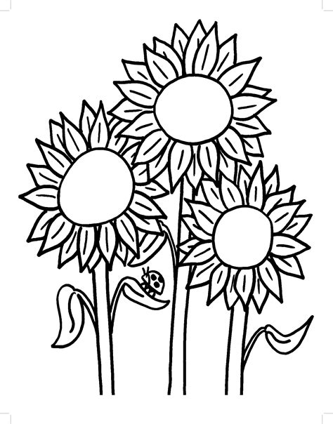 Free Printable Sunflower Coloring Pages